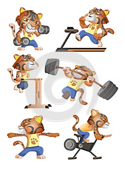 Collection of little Chinese new year cute tiger symbol goes in for sports. Tiger lifts dumbbells, barbell, runs on a