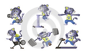 Collection of little snow leopard goes in for sports. Cute leopard lifts dumbbells, barbell, runs on a treadmill, on a
