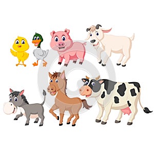 The collection of the livestock animals with the different species