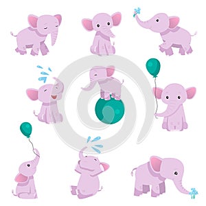 Collection of Lovely Baby Elephant Pink Animal Character in Different Poses Vector Illustration