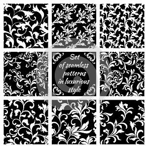 Collection of luxurious seamless patterns. White floral tracery photo