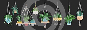 Collection of macrame hangers for potted plants. Set of hanging planters made of rope, elegant handmade home decorations