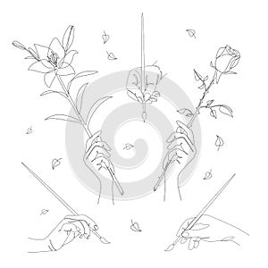 Collection. A man`s hand draws with a brush and holds a lily and rose flower in a modern style with one line. The man writes. Soli