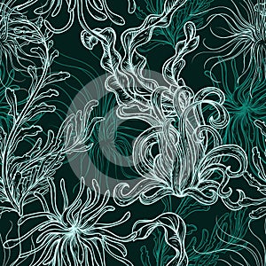 Collection of marine plants, leaves and seaweed. Vintage seamless pattern with hand drawn marine flora.