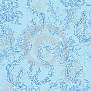 Collection of marine plants, leaves and seaweed. Vintage seamless pattern with hand drawn marine flora