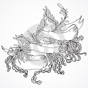 Collection of marine plants, seaweed and ribbon banner . Vintage set of black and white hand drawn marine flora. vector
