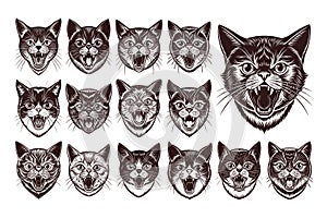 Collection of meowing exotic shorthair cat head illustration design