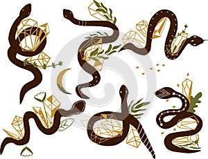 Collection mystical snake with crystals, moon, stars, flowers and leaves. Magical snake on white background. Mystic