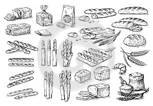 Collection of natural elements of bread and flour sketch