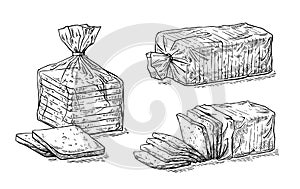 Collection of natural elements of sliced toast bread and cellophane package sketch