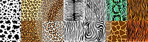 Set of seamless patterns with skin of fur textures of wild animals