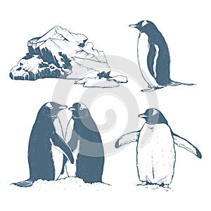 Collection north, penguins and iceberg.