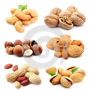 Collection of nuts