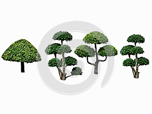 Collection ofâ€‹ Greenâ€‹ trees isolated on white background