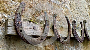 Collection of old rusty horseshoes hanging on a rack