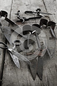 Collection of old scissors photo