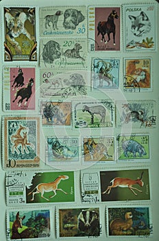Collection of old stamps on a board