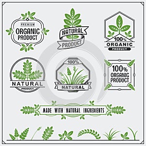 Collection of Organic food labels and design elements.