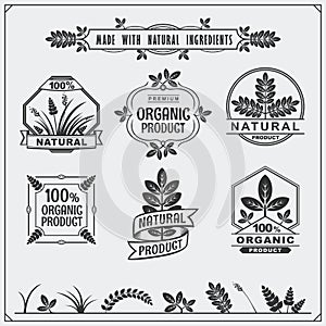 Collection of Organic food labels and design elements.