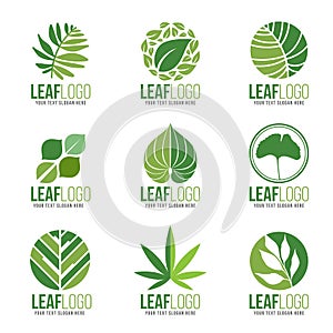 Collection Of Organic Green Leaf Logo Symbols Vector Design