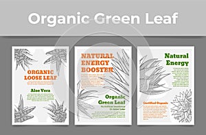 Collection organic green leaf sketch poster vector illustration. Set natural energy booster