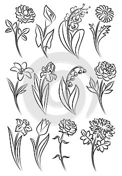 Collection of outlined flowers.