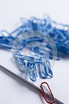 Collection of paperclips in various colours
