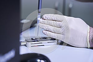Collection of patient tests in the laboratory