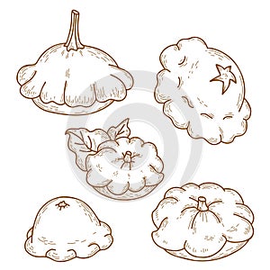 Collection of pattyson vegetables. Beautiful different patisson. Vector illustration. isolated Linear hand drawing