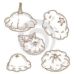 Collection of pattyson vegetables. Beautiful different patisson. Vector illustration. isolated Linear hand drawing photo