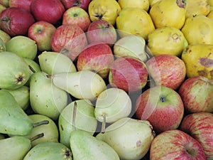 Collection of pears, apples and quinces at a market stall