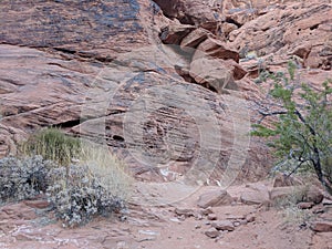 Collection of petroglyphs on hill at Valley of Fire, Nevada