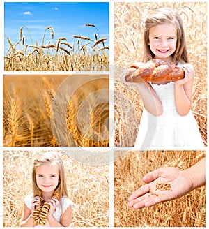 Collection of photos wheat field and little girl