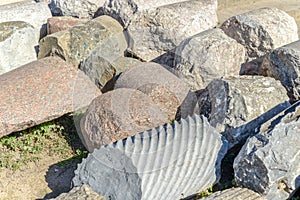 Collection of pillars at the ruins of carthage