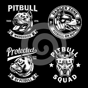 Collection of Pitbull Emblem and Logo Vector Illustration