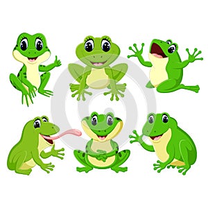 The collection of the pretty green frogs in the different posing photo