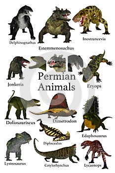 Collection of Primitive Permian Animals