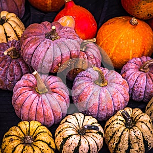 Collection of pumpkins at a farmers market