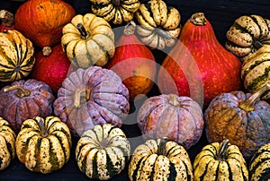 Collection of pumpkins at a farmers market