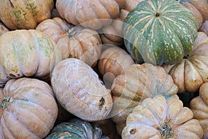 A collection of pumpkins and squash of different types and colors.