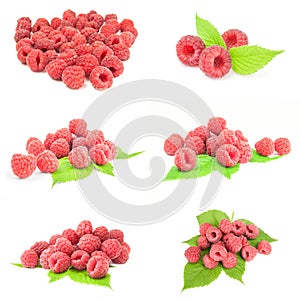 Collection of raspberries over a white background