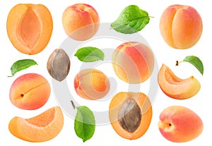 Collection of raw apricot fruits, with pieces, leaves and kernel isolated on white