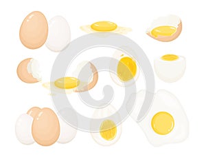 Collection of raw, boiled and fried eggs, peeled and covered with eggshell. Bundle of delicious high-protein food