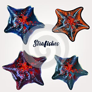 Collection of realistic starfishes for design