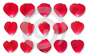 Collection of realistic vector red rose petals.