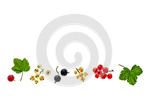 Collection of red-currants, blackcurrants and white currants on white background