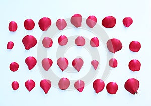 A collection of red rose petals isolated on a white background