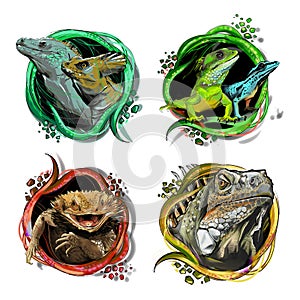 Collection with reptiles and lisard Cartoon. Reptile emblems template vector Illustration