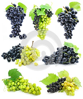 Collection of ripe fruit grape cluster isolated