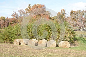 A collection of round bales of hay builds on this mountain farm as fall takes hold